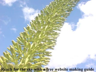 Happy days at last a free guide to help you  build a free website   Have a whale of a time with your very own website Free website building guide Glide in today & build your very own free website Plant some seeds today and build a free website Reach for the sky with a free website making guide 