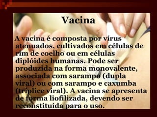 Vacina
A vacina é composta por vírus
atenuados, cultivados em células de
rim de coelho ou em células
diplóides humanas. Pode ser
produzida na forma monovalente,
associada com sarampo (dupla
viral) ou com sarampo e caxumba
(tríplice viral). A vacina se apresenta
de forma liofilizada, devendo ser
reconstituída para o uso.
 