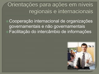 Orientações para ações em níveis regionais e internacionaisCooperação internacional de organizações governamentais e não governamentaisFacilitação do intercâmbio de informaçõesproftaniaregina.blogspot.com