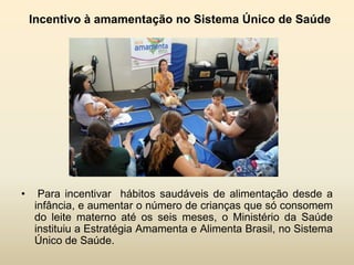 Incentivo à amamentação no Sistema Único de Saúde

•

Para incentivar hábitos saudáveis de alimentação desde a
infância, e aumentar o número de crianças que só consomem
do leite materno até os seis meses, o Ministério da Saúde
instituiu a Estratégia Amamenta e Alimenta Brasil, no Sistema
Único de Saúde.

 