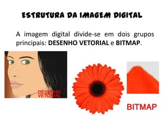 ESTRUTURA DA IMAGEM DIGITAL

A imagem digital divide-se em dois grupos
principais: DESENHO VETORIAL e BITMAP.
 