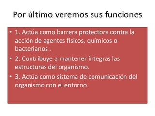 Por último veremos sus funciones
• 1. Actúa como barrera protectora contra la
  acción de agentes físicos, químicos o
  bacterianos .
• 2. Contribuye a mantener íntegras las
  estructuras del organismo.
• 3. Actúa como sistema de comunicación del
  organismo con el entorno
 