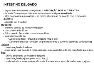 INTESTINO DELGADO
- órgão mais importante da digestão – ABSORÇÃO DOS NUTRIENTES
- tubo de 7 metros que dobra-se muitas vezes – alças intestinais
- alça duodenal é a única fixa – as outras alteram-se de acordo com o processo
digestivo
- dividido em 3 partes:
Duodeno:
- primeira porção do intestino delgado
- possui cerca de 25 cm
- única porção fixa – não possui mesentério
- local de inserção de:
* Ducto colédoco - provêm do fígado (traz a bile)
* Ducto pancreático - provêm do pâncreas (traz o suco ou secreção pancreática)
Jejuno:
- continuação do duodeno
- mais largo, sua parede é mais espessa, mais vascular e de cor mais forte que o íleo.
Íleo:
- último segmento do intestino delgado
- continuação do jejuno (próx. osso ilíaco)
- mais estreito e suas túnicas são mais finas e menos vascularizadas que o jejuno.
 