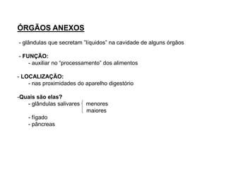 ÓRGÃOS ANEXOS
- glândulas que secretam ”líquidos” na cavidade de alguns órgãos
- FUNÇÃO:
- auxiliar no “processamento” dos alimentos
- LOCALIZAÇÃO:
- nas proximidades do aparelho digestório
-Quais são elas?
- glândulas salivares menores
maiores
- fígado
- pâncreas
 