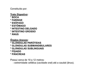 Constituído por:
Trato Digestivo:
* BOCA
* FARINGE
* ESÔFAGO
* ESTÔMAGO
* INTESTINO DELGADO
* INTESTINO GROSSO
* ÂNUS
Órgãos Anexos:
* GLÂNDULAS PARÓTIDAS
* GLÂNDULAS SUBMANDIBULARES
* GLÂNDULAS SUBLINGUAIS
* FÍGADO
* PÂNCREAS
Possui cerca de 10 a 12 metros:
- extremidade cefálica (cavidade oral) até a caudal (ânus).
 