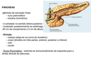 PÂNCREAS
-glândula de secreção mista
- suco pancreático
- insulina (hormônio).
- é achatado no sentido ântero-posterior
- localizado posteriormente ao estômago.
-20 cm de comprimento e 5 cm de altura.
- Divisão:
- cabeça (aloja-se na curva do duodeno)
- corpo (dividido em três partes: anterior, posterior e inferior)
- colo
- cauda
- Ducto Pancreático - estende-se transversalmente da esquerda para a
direita através do pâncreas
 