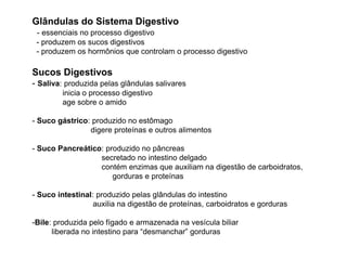Glândulas do Sistema Digestivo
- essenciais no processo digestivo
- produzem os sucos digestivos
- produzem os hormônios que controlam o processo digestivo
Sucos Digestivos
- Saliva: produzida pelas glândulas salivares
inicia o processo digestivo
age sobre o amido
- Suco gástrico: produzido no estômago
digere proteínas e outros alimentos
- Suco Pancreático: produzido no pâncreas
secretado no intestino delgado
contém enzimas que auxiliam na digestão de carboidratos,
gorduras e proteínas
- Suco intestinal: produzido pelas glândulas do intestino
auxilia na digestão de proteínas, carboidratos e gorduras
-Bile: produzida pelo fígado e armazenada na vesícula biliar
liberada no intestino para “desmanchar” gorduras
 