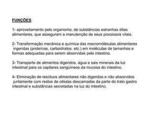 FUNÇÕES:
1- aproveitamento pelo organismo, de substâncias estranhas ditas
alimentares, que asseguram a manutenção de seus processos vitais.
2- Transformação mecânica e química das macromóléculas alimentares
ingeridas (proteínas, carboidratos, etc.) em moléculas de tamanhos e
formas adequadas para serem absorvidas pelo intestino.
3- Transporte de alimentos digeridos, água e sais minerais da luz
intestinal para os capilares sangüíneos da mucosa do intestino.
4- Eliminação de resíduos alimentares não digeridos e não absorvidos
juntamente com restos de células descamadas da parte do trato gastro
intestinal e substâncias secretadas na luz do intestino.
 