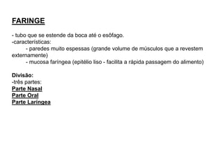 FARINGE
- tubo que se estende da boca até o esôfago.
-características:
- paredes muito espessas (grande volume de músculos que a revestem
externamente)
- mucosa faríngea (epitélio liso - facilita a rápida passagem do alimento)
Divisão:
-três partes:
Parte Nasal
Parte Oral
Parte Laríngea
 