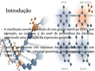  A metilação envolve a adição de um grupo metil ao DNA, por
exemplo, ao carbono 5 do anel de pirimidina da citosina,
ocorrendo uma redução da expressão genética.
 Ocorre geralmente em citosinas localizadas dentro de um
dinucleotídeo de citosina-guanina, conhecimentos como
“Ilhas CpG”.
 
