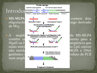  MS-MLPA: Uma sonda de MLPA contem dois
oligonucleotídeos: um sintético e um longo derivado
de M13.
 A seqüência detectada pela sonda de MS-MLPA
contêm uma sequencia de reconhecimento para a
HpaII ou HhaI. Sondas que reconhecem seqüência que
estão metiladas geram um sinal. Se o sítio CpG estiver
não metilado, o complexo sonda MS-MLPA e DNA
genômico será digerido e não vai gerar produto de PCR
nem amplificação exponencial do mesmo.
 