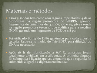  Essas 5 sondas têm como alvo regiões imprintadas. 4 delas
hibridizam na região promotora do SNRPN gerando
fragmentos de tamanhos de 142, 166, 190 e 247 pb e 1 sonda
na região promotora (exon 1) que codifica para a necdina
(NDN) gerando um fragmento de PCR de 418 pb.
 Foi utilizado 80 ng de DNA genômico para cada amostra
testada. Usou-se 10 mol/L de Tris-EDTA para diluição do
DNA se necessário.
 Após 16 h de hibridização à 60° C, amostras foram
igualmente divididas em 2 alíquotas. A primeira alíquota
foi submetida à ligação apenas, enquanto que a segunda foi
submetida à ligação e digestão enzimática.
 