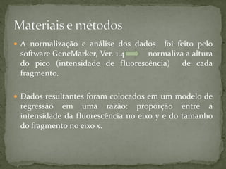  A normalização e análise dos dados foi feito pelo
software GeneMarker, Ver. 1.4 normaliza a altura
do pico (intensidade de fluorescência) de cada
fragmento.
 Dados resultantes foram colocados em um modelo de
regressão em uma razão: proporção entre a
intensidade da fluorescência no eixo y e do tamanho
do fragmento no eixo x.
 