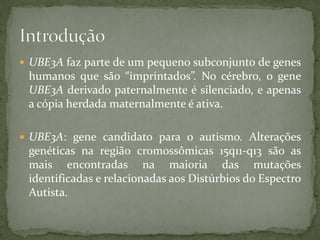  UBE3A faz parte de um pequeno subconjunto de genes
humanos que são “imprintados”. No cérebro, o gene
UBE3A derivado paternalmente é silenciado, e apenas
a cópia herdada maternalmente é ativa.
 UBE3A: gene candidato para o autismo. Alterações
genéticas na região cromossômicas 15q11-q13 são as
mais encontradas na maioria das mutações
identificadas e relacionadas aos Distúrbios do Espectro
Autista.
 