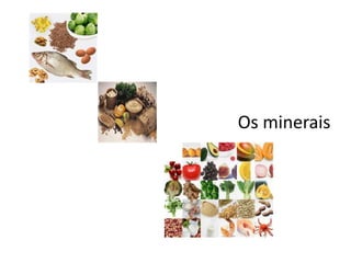  Os minerais