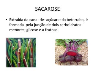 SACAROSE Extraída da cana- de- açúcar e da beterraba, é formada  pela junção de dois carboidratos menores: glicose e a frutose.