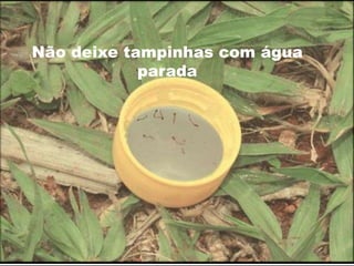 Não deixe tampinhas com água 
parada 
 