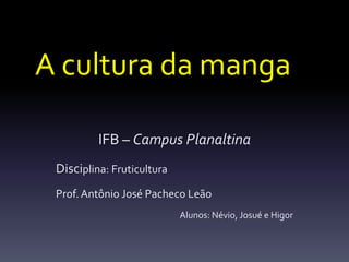 A cultura da manga

          IFB – Campus Planaltina
 Disciplina: Fruticultura
 Prof. Antônio José Pacheco Leão
                            Alunos: Névio, Josué e Higor
 