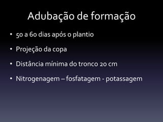 Adubação de formação
• 50 a 60 dias após o plantio

• Projeção da copa

• Distância mínima do tronco 20 cm

• Nitrogenagem – fosfatagem - potassagem
 