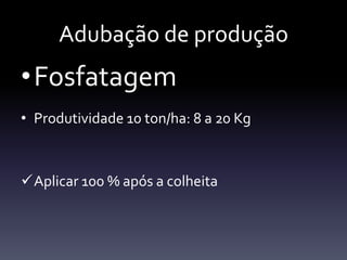 Adubação de produção
•Fosfatagem
• Produtividade 10 ton/ha: 8 a 20 Kg



Aplicar 100 % após a colheita
 