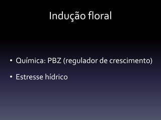 Indução floral


• Química: PBZ (regulador de crescimento)

• Estresse hídrico
 