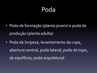 Poda

• Poda de formação (planta jovem) e poda de
 produção (planta adulta)

• Poda de limpeza, levantamento da copa,
 abertura central, poda lateral, poda de topo,
 de equilíbrio, poda arquitetural
 