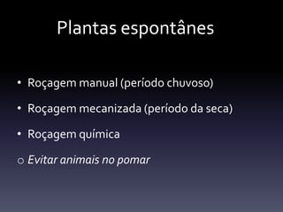 Plantas espontânes

• Roçagem manual (período chuvoso)

• Roçagem mecanizada (período da seca)

• Roçagem química

o Evitar animais no pomar
 