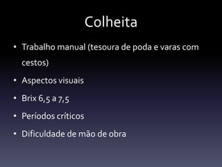 Colheita
• Trabalho manual (tesoura de poda e varas com
  cestos)
• Aspectos visuais
• Brix 6,5 a 7,5
• Períodos críticos
• Dificuldade de mão de obra
 