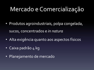 Mercado e Comercialização

• Produtos agroindustriais, polpa congelada,
  sucos, concentrados e in natura

• Alta exigência quanto aos aspectos físicos

• Caixa padrão 4 kg

• Planejamento de mercado
 