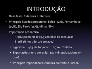 INTRODUÇÃO
• Duas fases: Extensiva e intensiva
• Principais Estados produtores: Bahia (54%), Pernambuco
  (15%), São Paulo (14%), Minas (6%)
• Importância econômica:
       Produção mundial: 25,35 milhões de toneladas
       Brasil 3% (ou 760.500 em 2002)
   • 1990/2006 : 483 mil ton/ano - 1.217 mil ton/ano
   • Exportações : zero em 1982 - 120 mil toneladas/ano em
     2006.
   • Principais importadores: América do Norte e Europa.
 