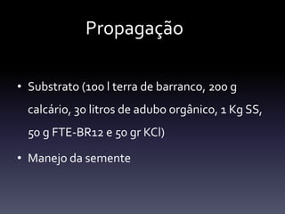 Propagação

• Substrato (100 l terra de barranco, 200 g
  calcário, 30 litros de adubo orgânico, 1 Kg SS,
  50 g FTE-BR12 e 50 gr KCl)

• Manejo da semente
 
