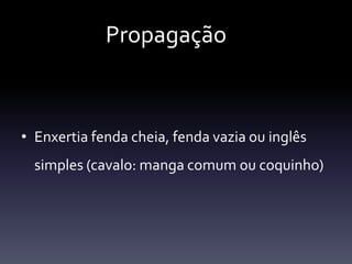 Propagação



• Enxertia fenda cheia, fenda vazia ou inglês
  simples (cavalo: manga comum ou coquinho)
 