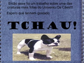 Então esse foi um trabalho sobre uma das
criaturas mais fofas do Universo:Os Cães!!!
Espero que tenham gostado.



Tchau!
 