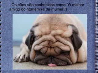Os cães são conhecidos como “O melhor
amigo do homem”(e da mulher!!)
 