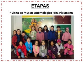 ETAPAS
• Visita ao Museu Entomológico Fritz Plaumann

 