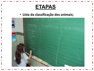 ETAPAS
• Lista da classificação dos animais;

 