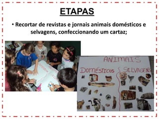 ETAPAS
• Recortar de revistas e jornais animais domésticos e
selvagens, confeccionando um cartaz;

 