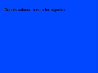 Depois colocou-o num formigueiro. 