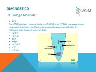 • PCR
Gap-PCR Multiplex, desenvolvida por CHONG et al (2000), que possui sete
pares de iniciadores que flanqueiam as regiões correspondentes às
deleções mais comuns já derscritras:
• -α 3.7
• -α 4.2
• SEA
• MED
• -α 20.5
• -- FIL
• -- THAI).
DIAGNÓSTICO
3. Biologia Molecular
 