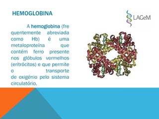 HEMOGLOBINA
A hemoglobina (fre
quentemente abreviada
como Hb) é uma
metaloproteína que
contém ferro presente
nos glóbulos vermelhos
(eritrócitos) e que permite
o transporte
de oxigénio pelo sistema
circulatório.
 