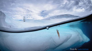 Photo By: Justin Hofman
 