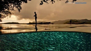 Photo By: David Doubilet
 