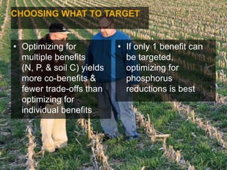 CHOOSING WHAT TO TARGET
• Optimizing for
multiple benefits
(N, P, & soil C) yields
more co-benefits &
fewer trade-offs than
optimizing for
individual benefits
• If only 1 benefit can
be targeted,
optimizing for
phosphorus
reductions is best
 