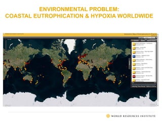 ENVIRONMENTAL PROBLEM:
COASTAL EUTROPHICATION & HYPOXIA WORLDWIDE
 
