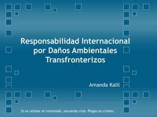 Responsabilidad Internacional
por Daños Ambientales
Transfronterizos
Amanda Kalil
Si va utilizar el contenido, recuerda citar. Plagio es crimen.
 