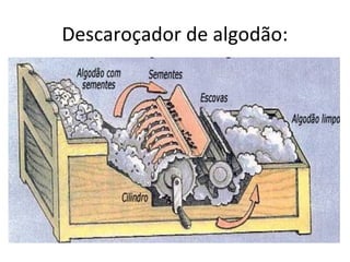 Descaroçador de algodão:
 