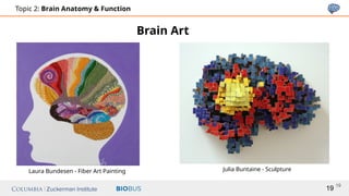 Slides Topic 2_ Brain Anatomy _ Function.pptx