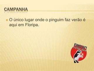 CampanhaO únicolugaronde o pinguimfazverão é aquiemFloripa.