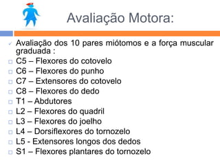 Avaliação Motora:
 Avaliação dos 10 pares miótomos e a força muscular
graduada :
 C5 – Flexores do cotovelo
 C6 – Flexores do punho
 C7 – Extensores do cotovelo
 C8 – Flexores do dedo
 T1 – Abdutores
 L2 – Flexores do quadril
 L3 – Flexores do joelho
 L4 – Dorsiflexores do tornozelo
 L5 - Extensores longos dos dedos
 S1 – Flexores plantares do tornozelo
 