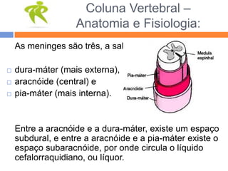 Coluna Vertebral –
Anatomia e Fisiologia:
As meninges são três, a saber:
 dura-máter (mais externa),
 aracnóide (central) e
 pia-máter (mais interna).
Entre a aracnóide e a dura-máter, existe um espaço
subdural, e entre a aracnóide e a pia-máter existe o
espaço subaracnóide, por onde circula o líquido
cefalorraquidiano, ou líquor.
 